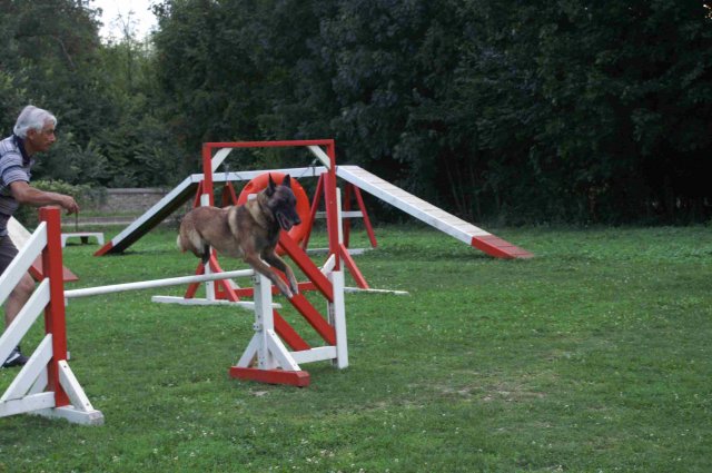 agility 2011-09
